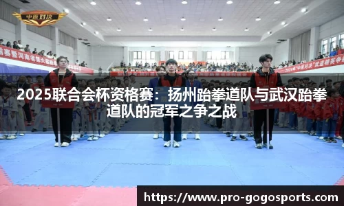 2025联合会杯资格赛：扬州跆拳道队与武汉跆拳道队的冠军之争之战